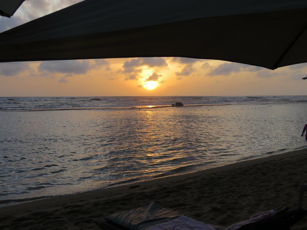 Paradise Bay *
